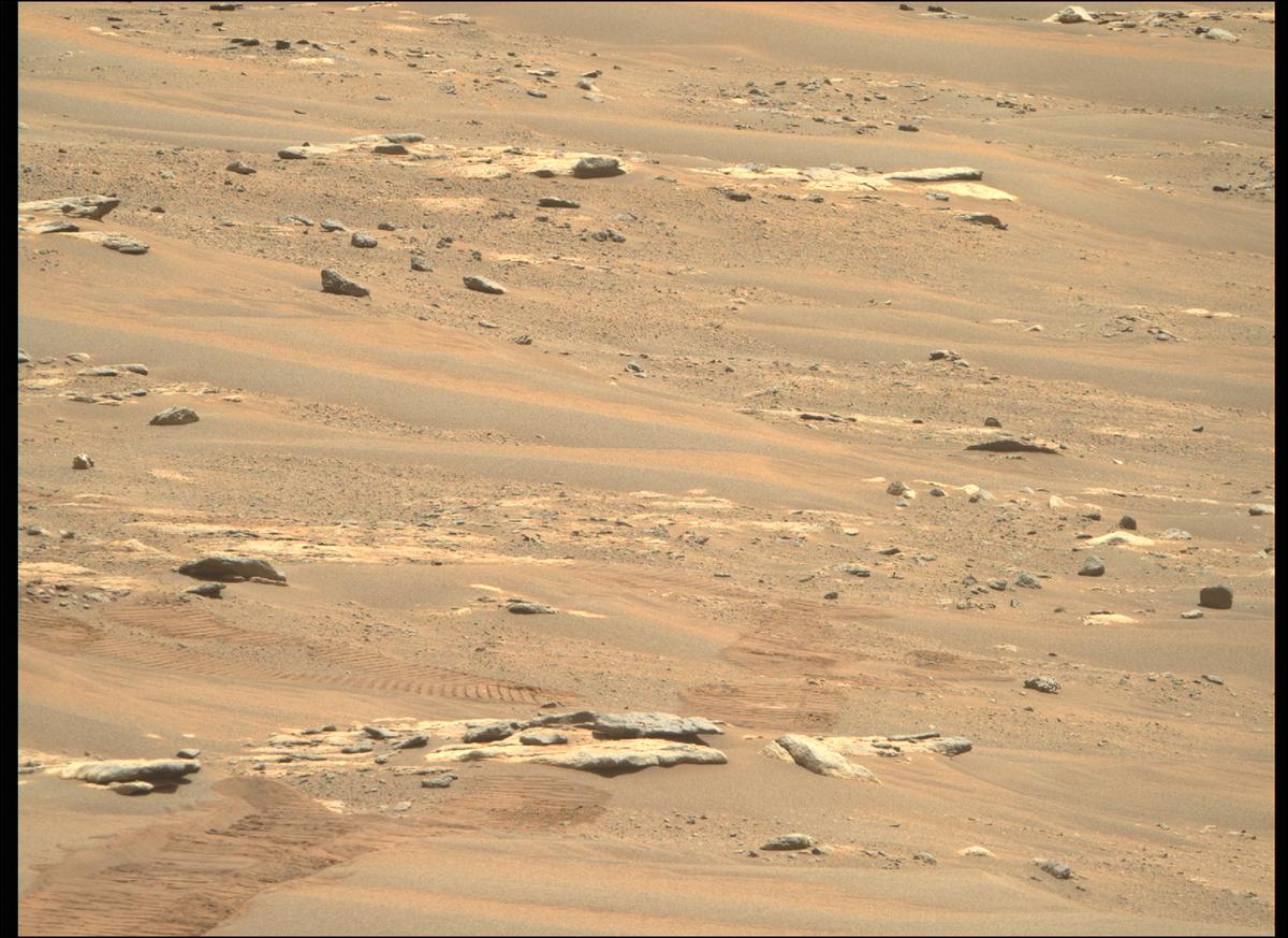 This image was taken by MCZ_RIGHT onboard NASA's Mars rover Perseverance on Sol 207