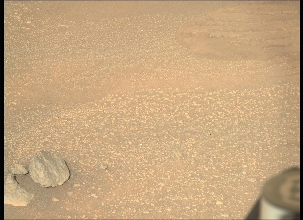 This image was taken by MCZ_RIGHT onboard NASA's Mars rover Perseverance on Sol 207