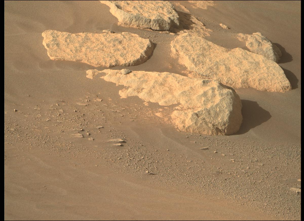 This image was taken by MCZ_RIGHT onboard NASA's Mars rover Perseverance on Sol 207