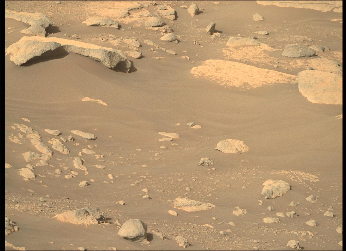 This image was taken by MCZ_RIGHT onboard NASA's Mars rover Perseverance on Sol 207