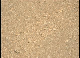 View image taken on Mars, Mars Perseverance Sol 208: Left Mastcam-Z Camera