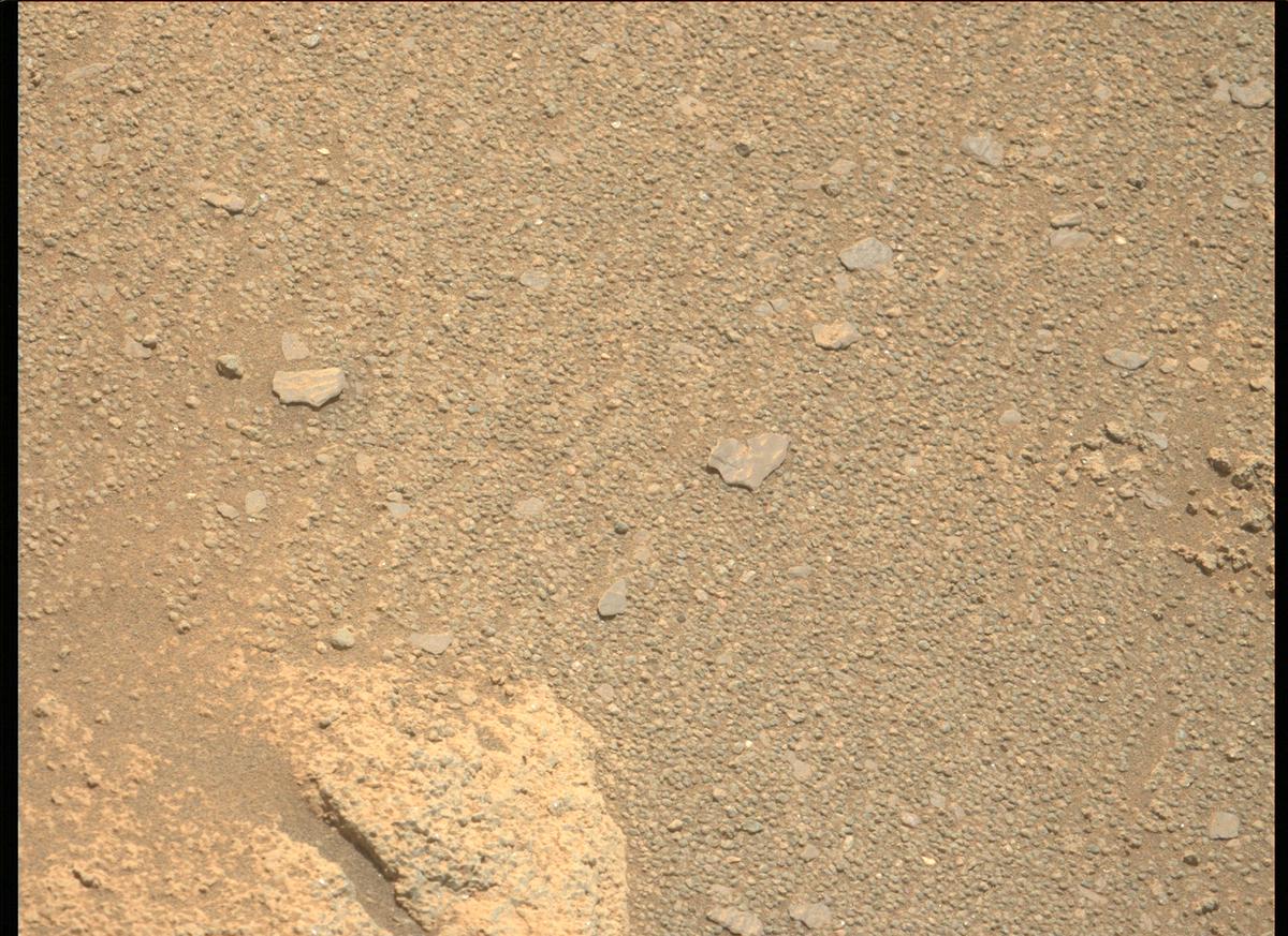 This image was taken by MCZ_LEFT onboard NASA's Mars rover Perseverance on Sol 208