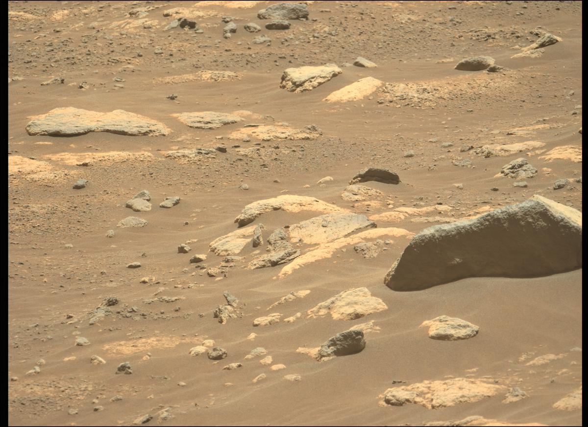 This image was taken by MCZ_LEFT onboard NASA's Mars rover Perseverance on Sol 208