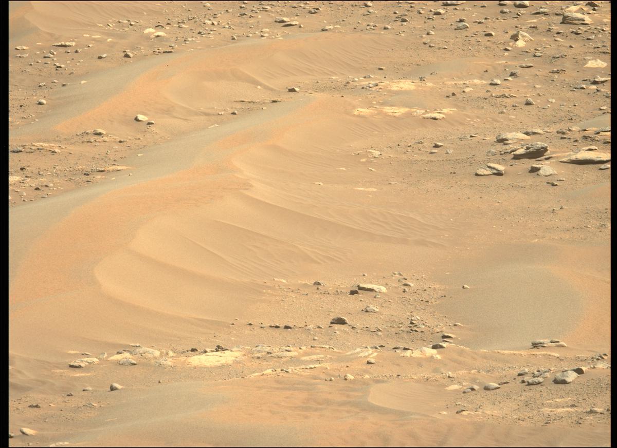 This image was taken by MCZ_LEFT onboard NASA's Mars rover Perseverance on Sol 208