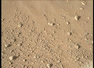 View image taken on Mars, Mars Perseverance Sol 208: Right Mastcam-Z Camera