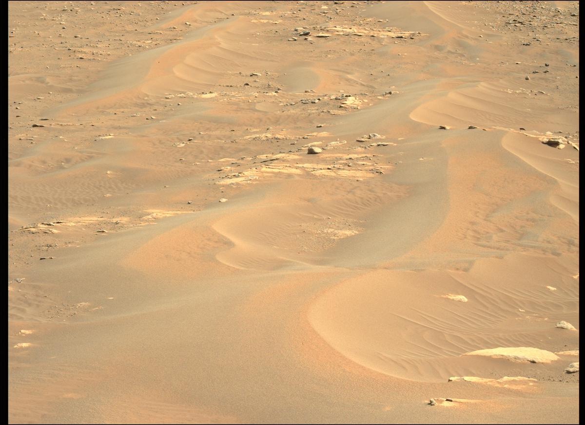 This image was taken by MCZ_LEFT onboard NASA's Mars rover Perseverance on Sol 209