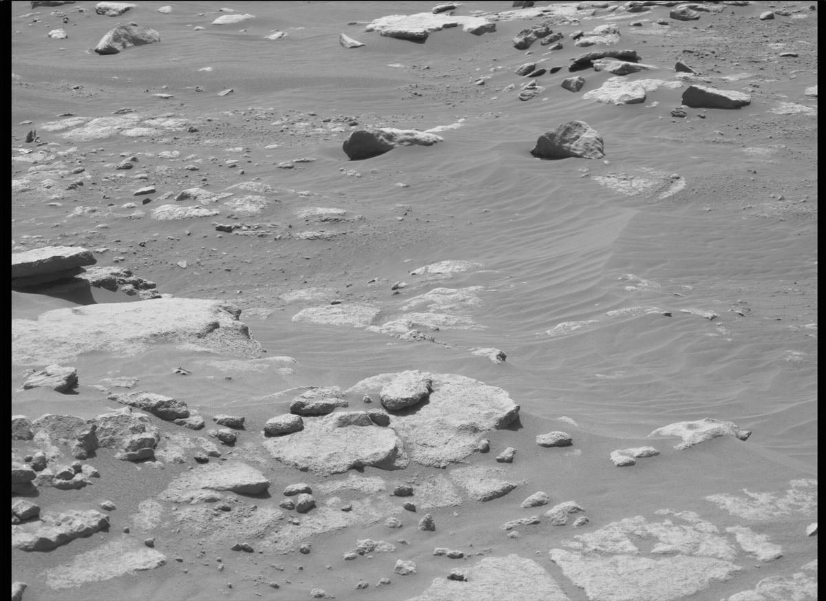This image was taken by MCZ_LEFT onboard NASA's Mars rover Perseverance on Sol 209