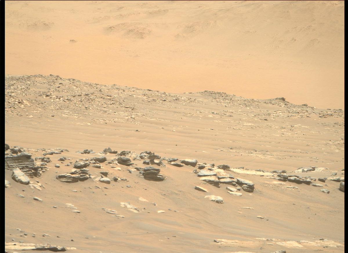 This image was taken by MCZ_RIGHT onboard NASA's Mars rover Perseverance on Sol 209