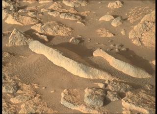 View image taken on Mars, Mars Perseverance Sol 211: Right Mastcam-Z Camera