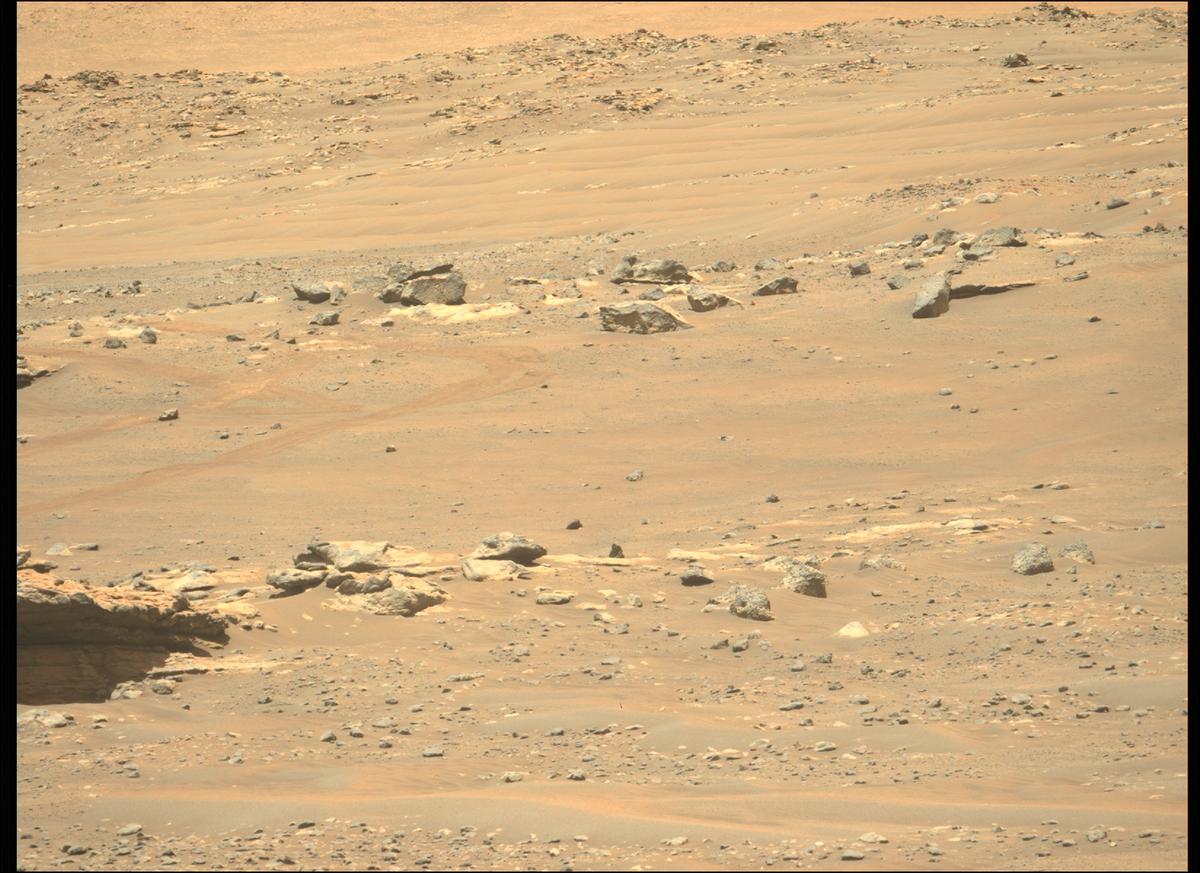 This image was taken by MCZ_LEFT onboard NASA's Mars rover Perseverance on Sol 214