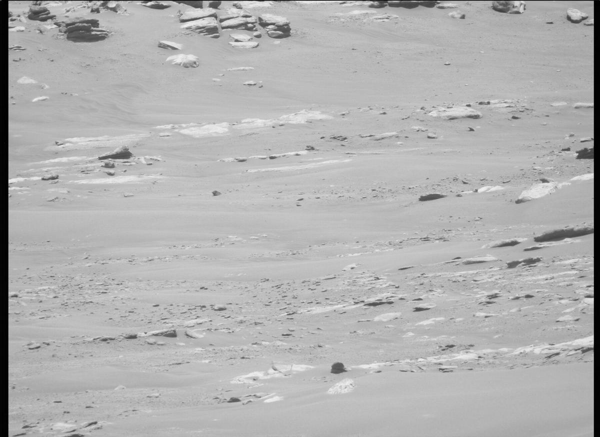 This image was taken by MCZ_LEFT onboard NASA's Mars rover Perseverance on Sol 214