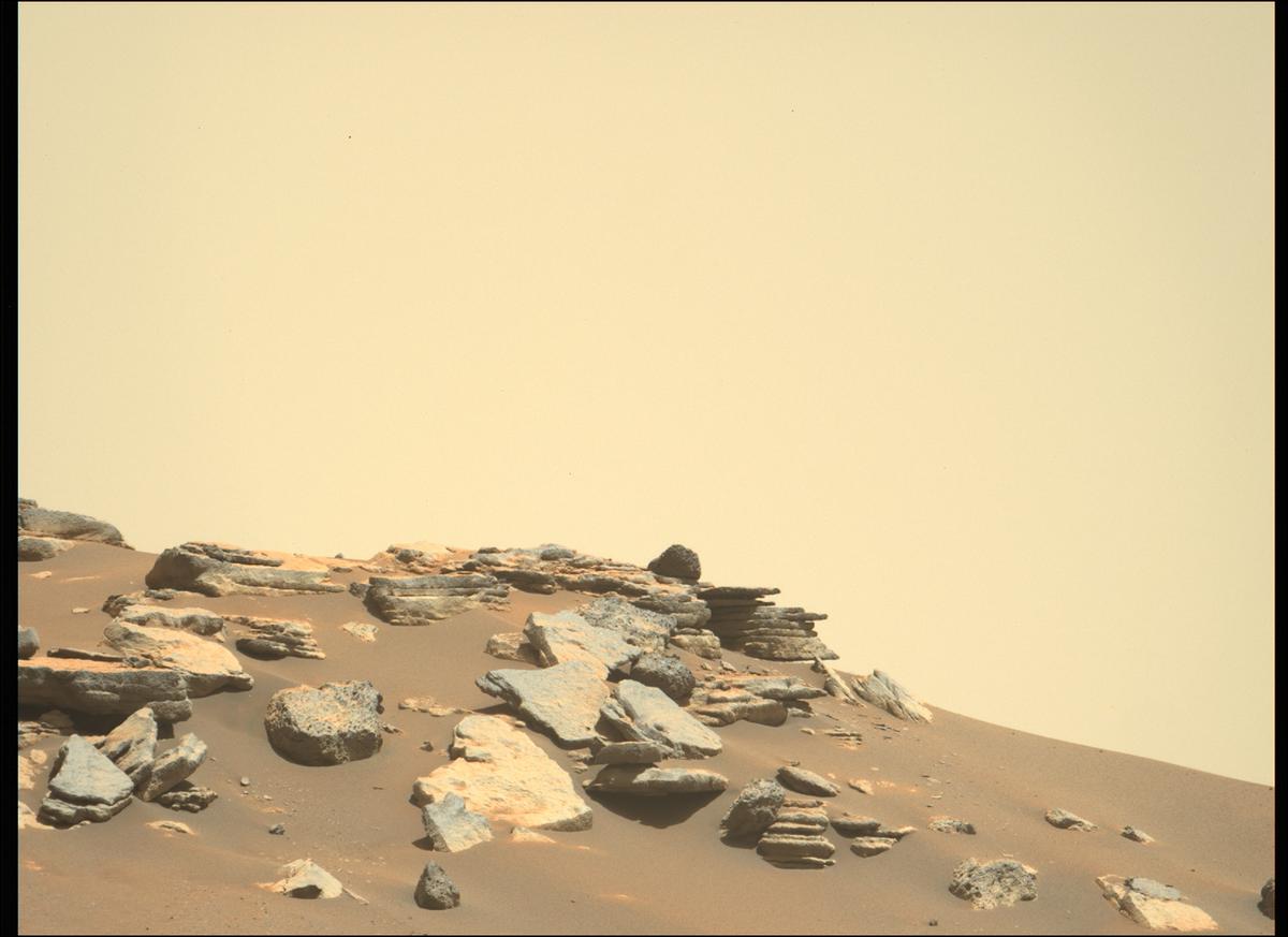 This image was taken by MCZ_LEFT onboard NASA's Mars rover Perseverance on Sol 214