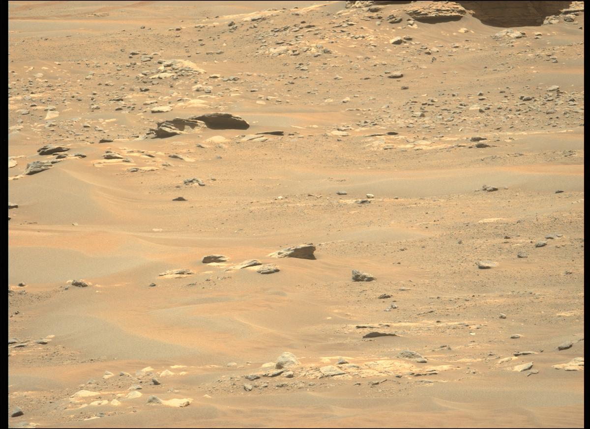 This image was taken by MCZ_LEFT onboard NASA's Mars rover Perseverance on Sol 214