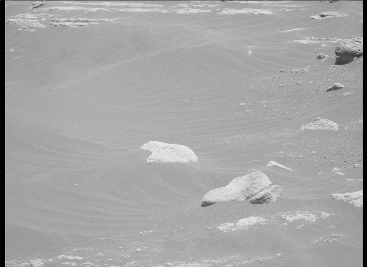 This image was taken by MCZ_LEFT onboard NASA's Mars rover Perseverance on Sol 214