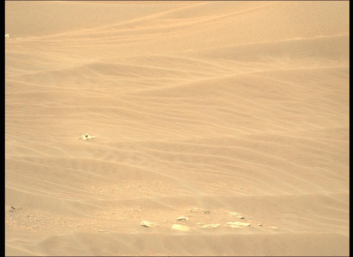 This image was taken by MCZ_LEFT onboard NASA's Mars rover Perseverance on Sol 214