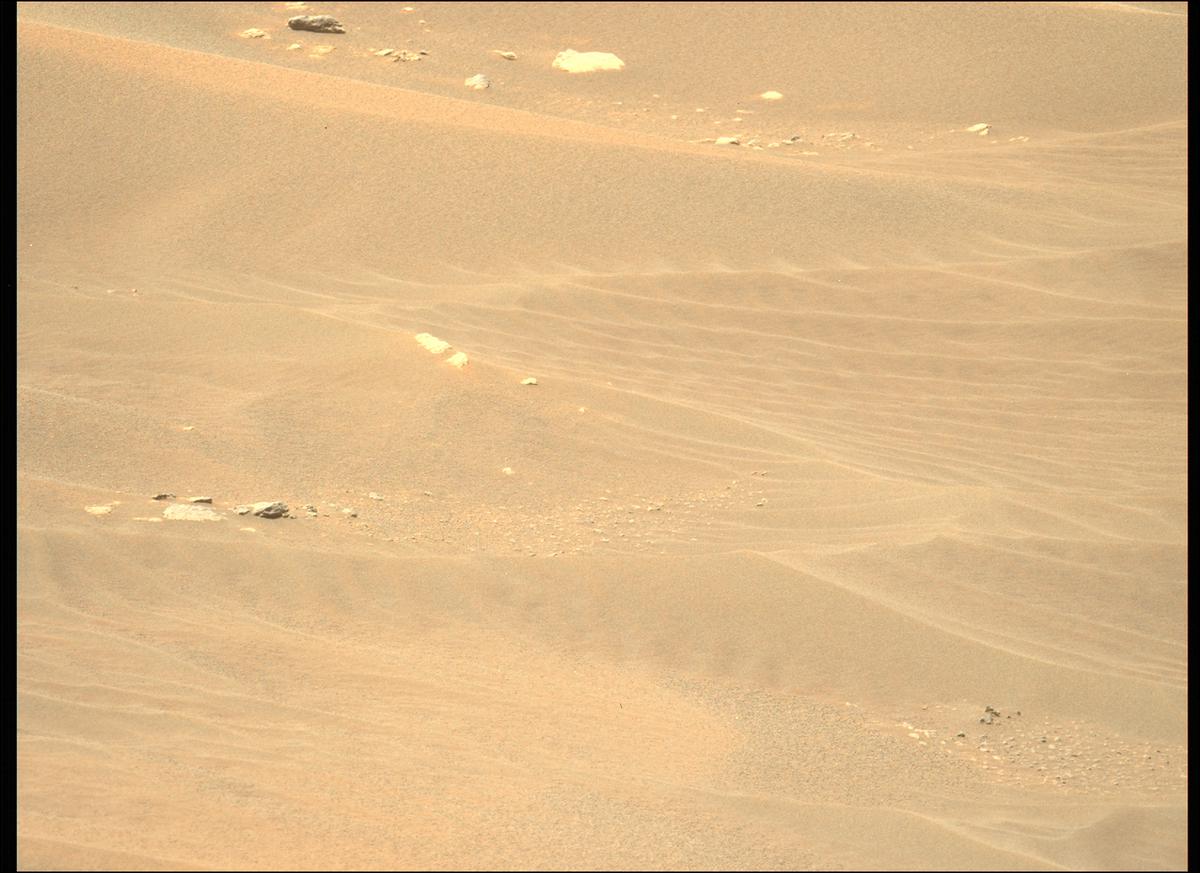 This image was taken by MCZ_LEFT onboard NASA's Mars rover Perseverance on Sol 214