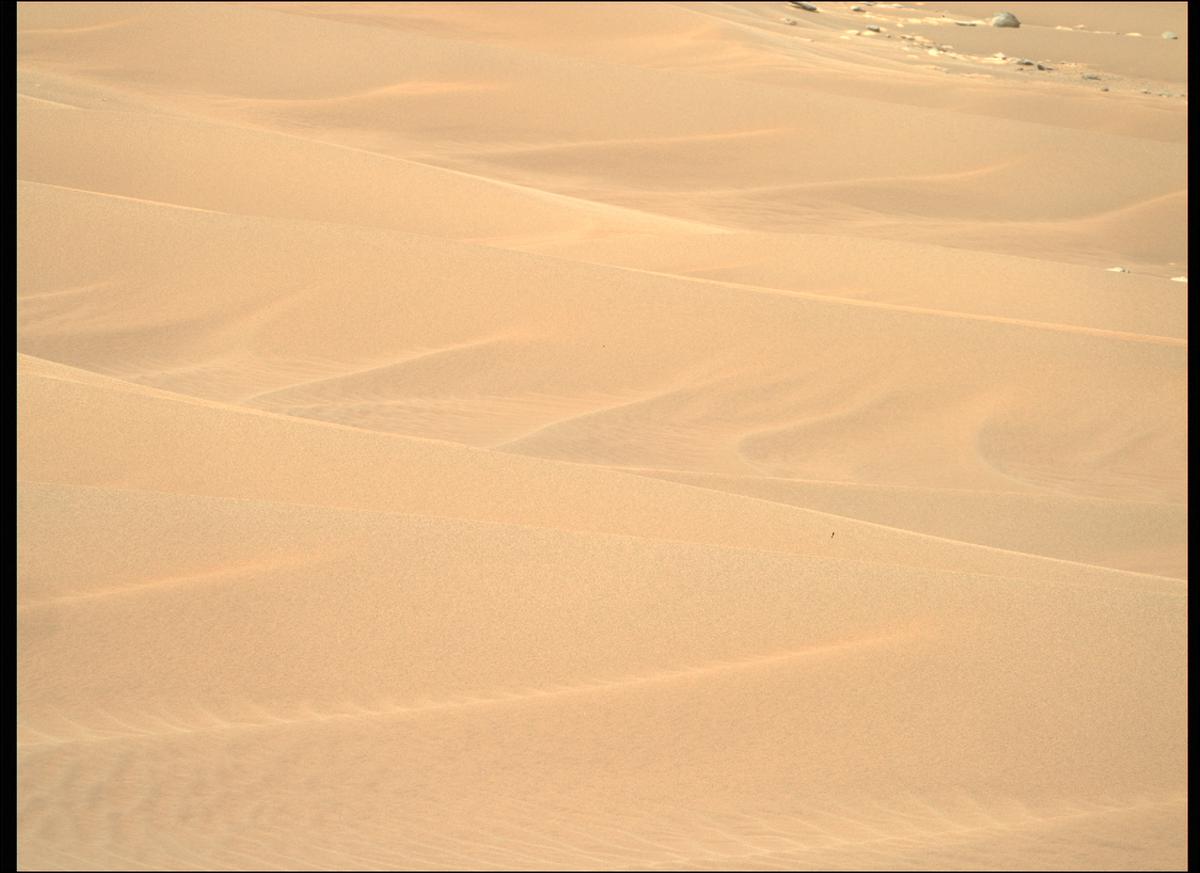 This image was taken by MCZ_RIGHT onboard NASA's Mars rover Perseverance on Sol 214