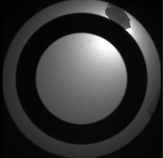 View image taken on Mars, Mars Perseverance Sol 215: SkyCam Camera 