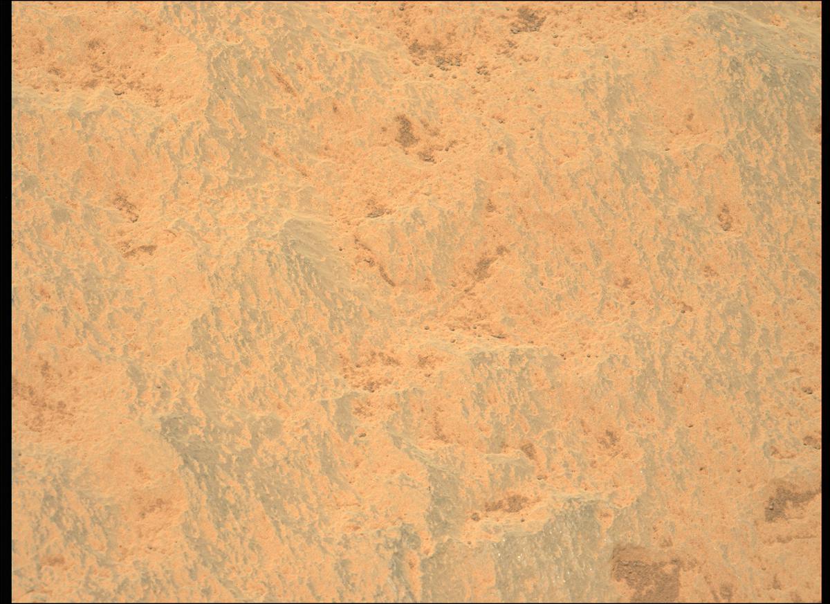 This image was taken by MCZ_LEFT onboard NASA's Mars rover Perseverance on Sol 215