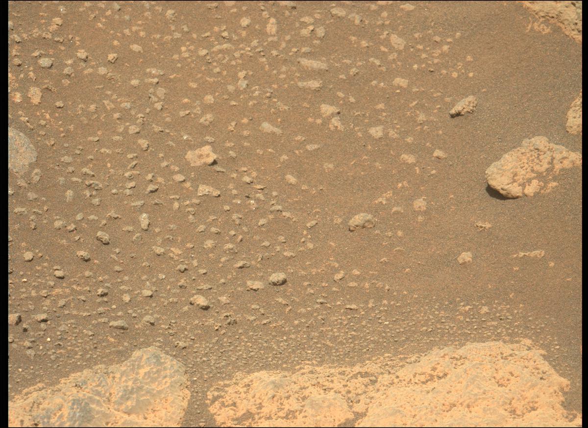 This image was taken by MCZ_LEFT onboard NASA's Mars rover Perseverance on Sol 215