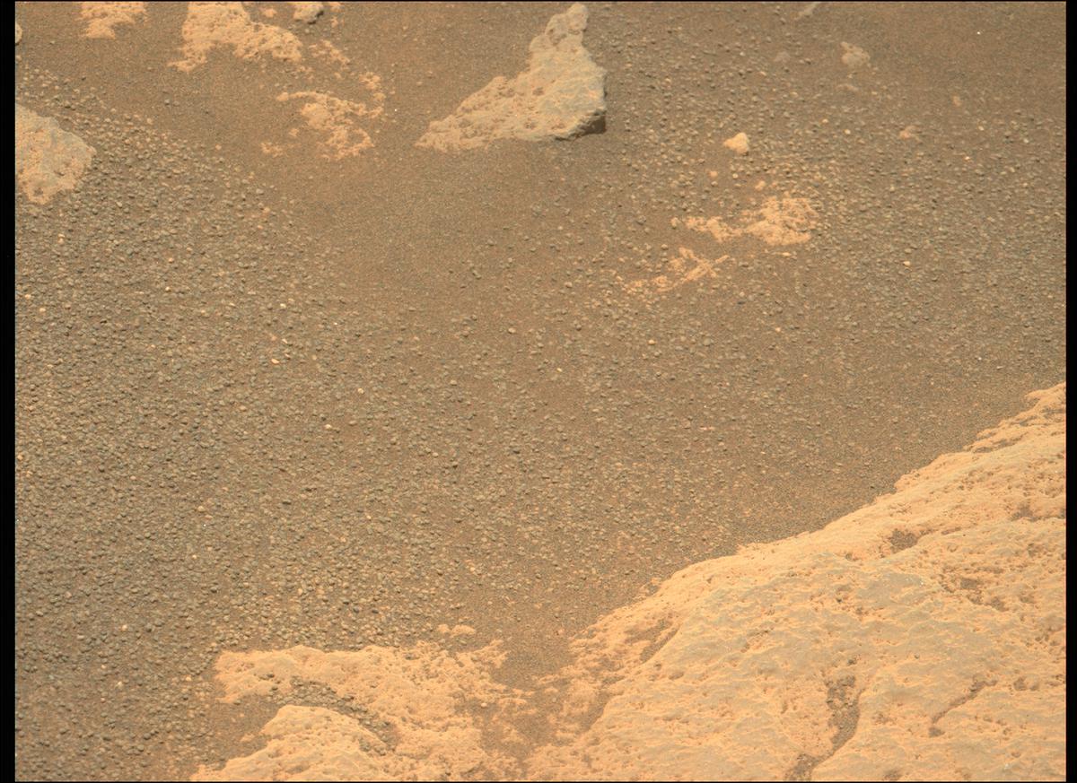 This image was taken by MCZ_LEFT onboard NASA's Mars rover Perseverance on Sol 215