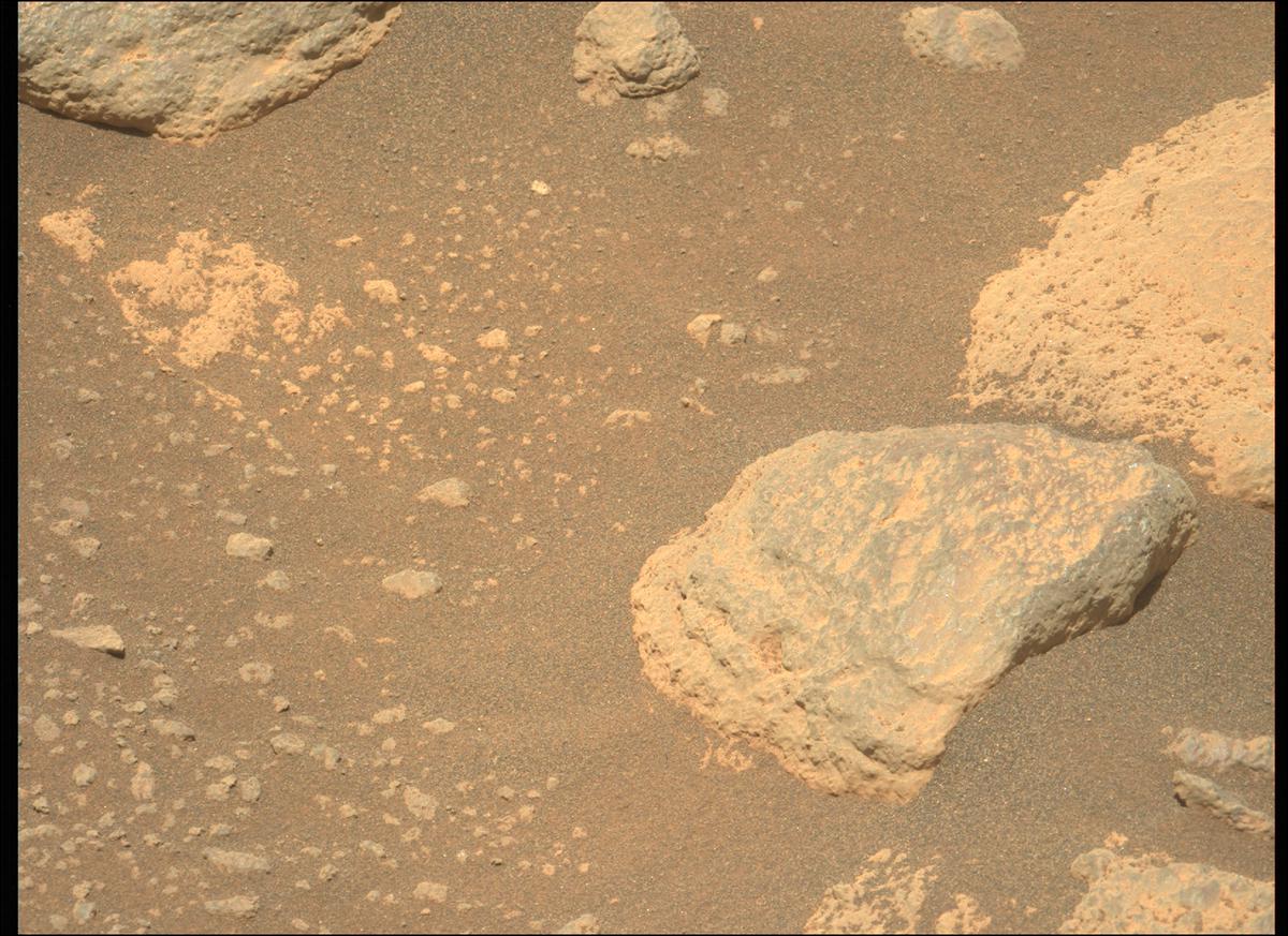 This image was taken by MCZ_LEFT onboard NASA's Mars rover Perseverance on Sol 215