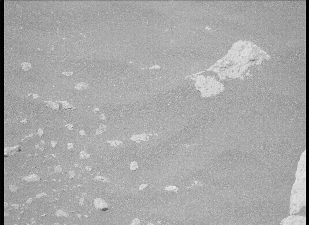 This image was taken by MCZ_LEFT onboard NASA's Mars rover Perseverance on Sol 215