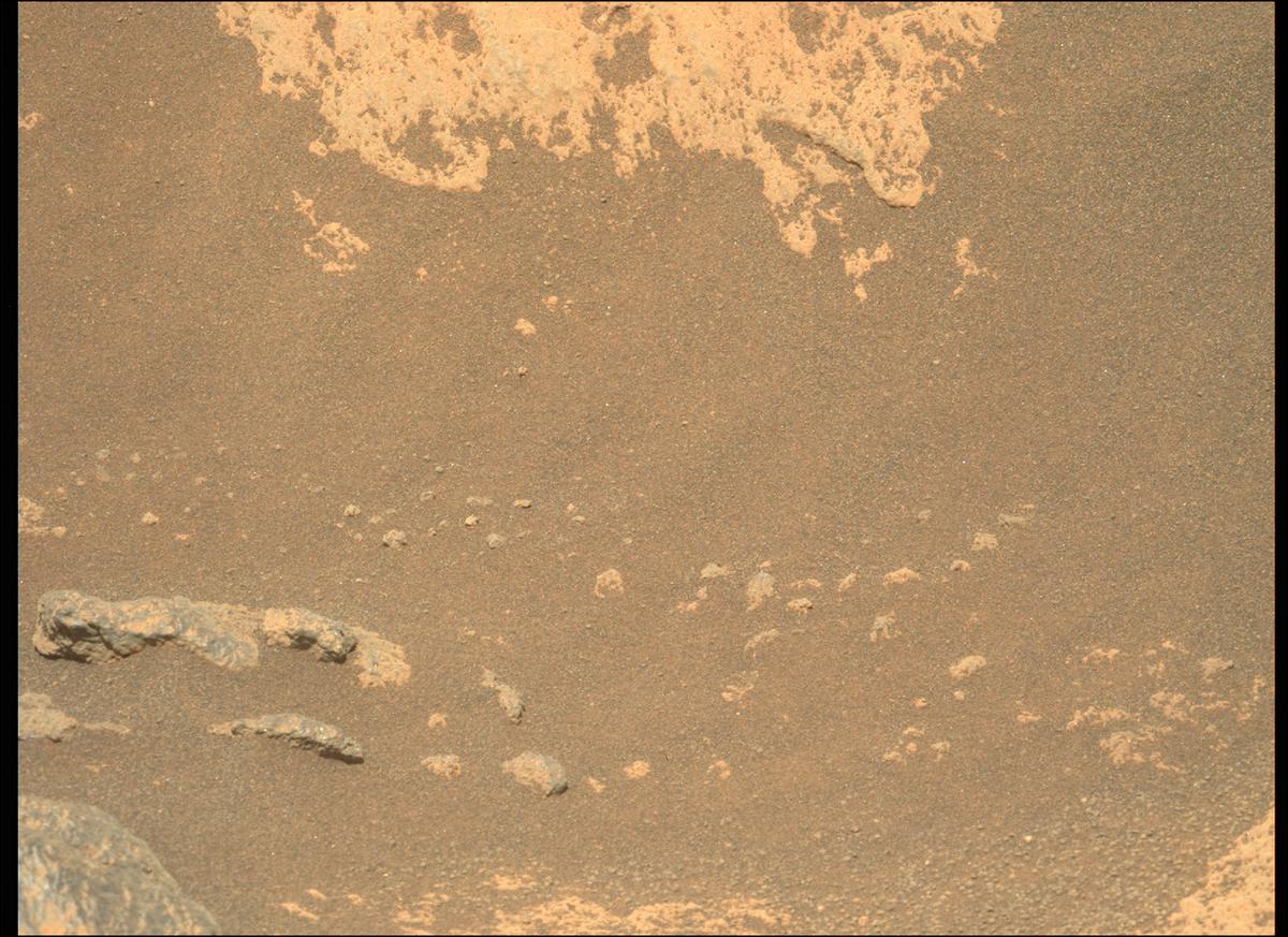 This image was taken by MCZ_LEFT onboard NASA's Mars rover Perseverance on Sol 215