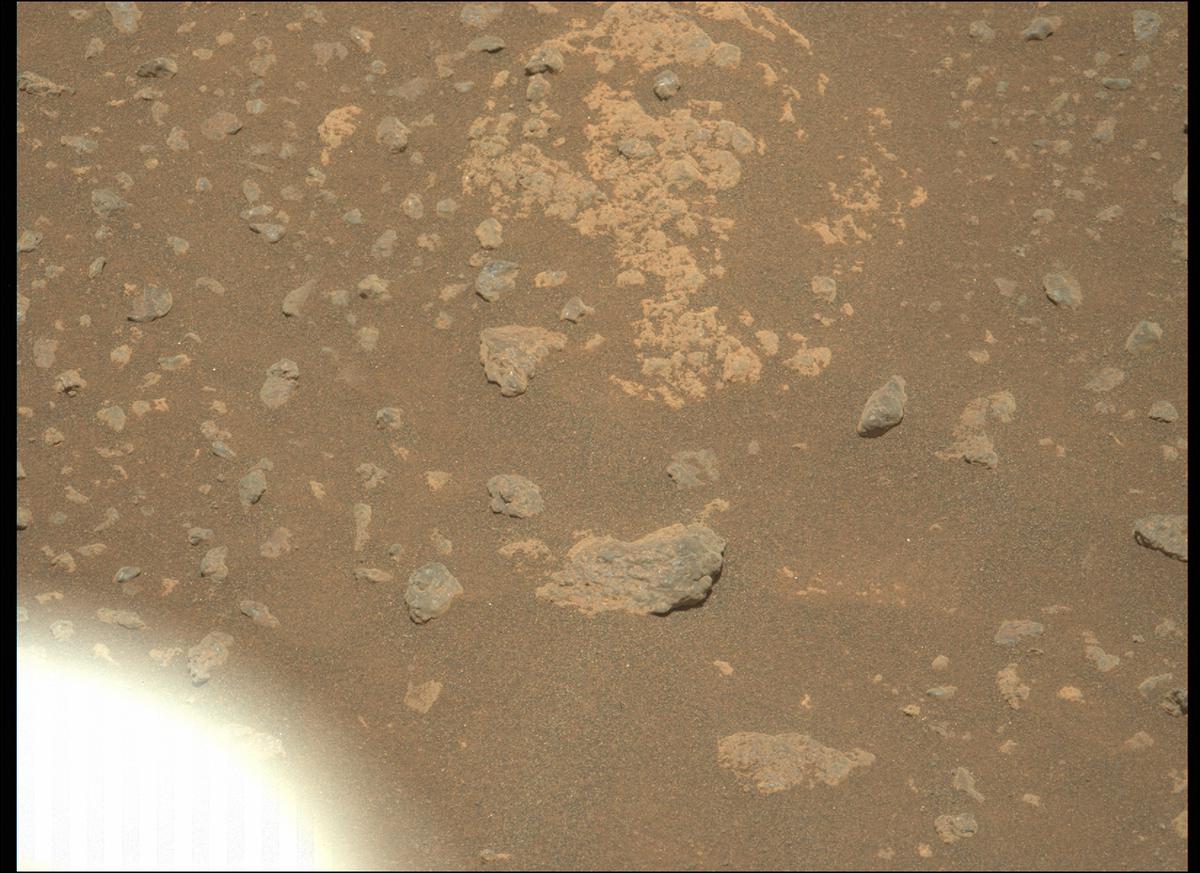 This image was taken by MCZ_LEFT onboard NASA's Mars rover Perseverance on Sol 215