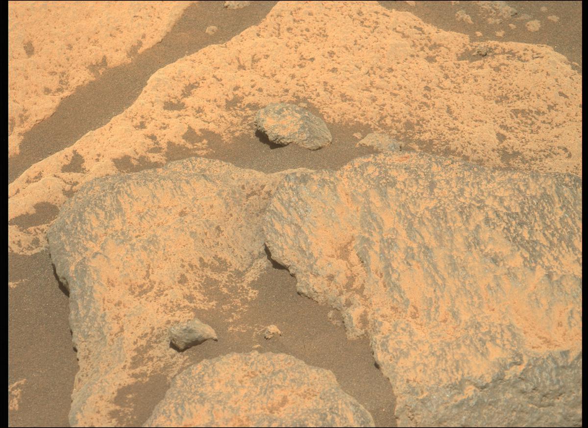 This image was taken by MCZ_LEFT onboard NASA's Mars rover Perseverance on Sol 215