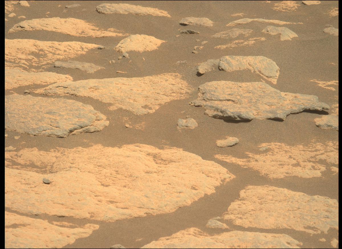 This image was taken by MCZ_LEFT onboard NASA's Mars rover Perseverance on Sol 215