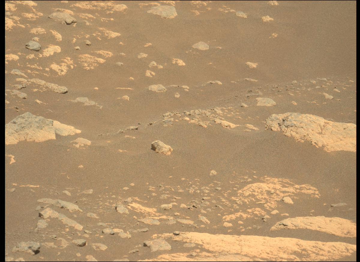 This image was taken by MCZ_LEFT onboard NASA's Mars rover Perseverance on Sol 215