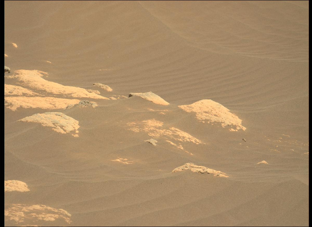 This image was taken by MCZ_LEFT onboard NASA's Mars rover Perseverance on Sol 215