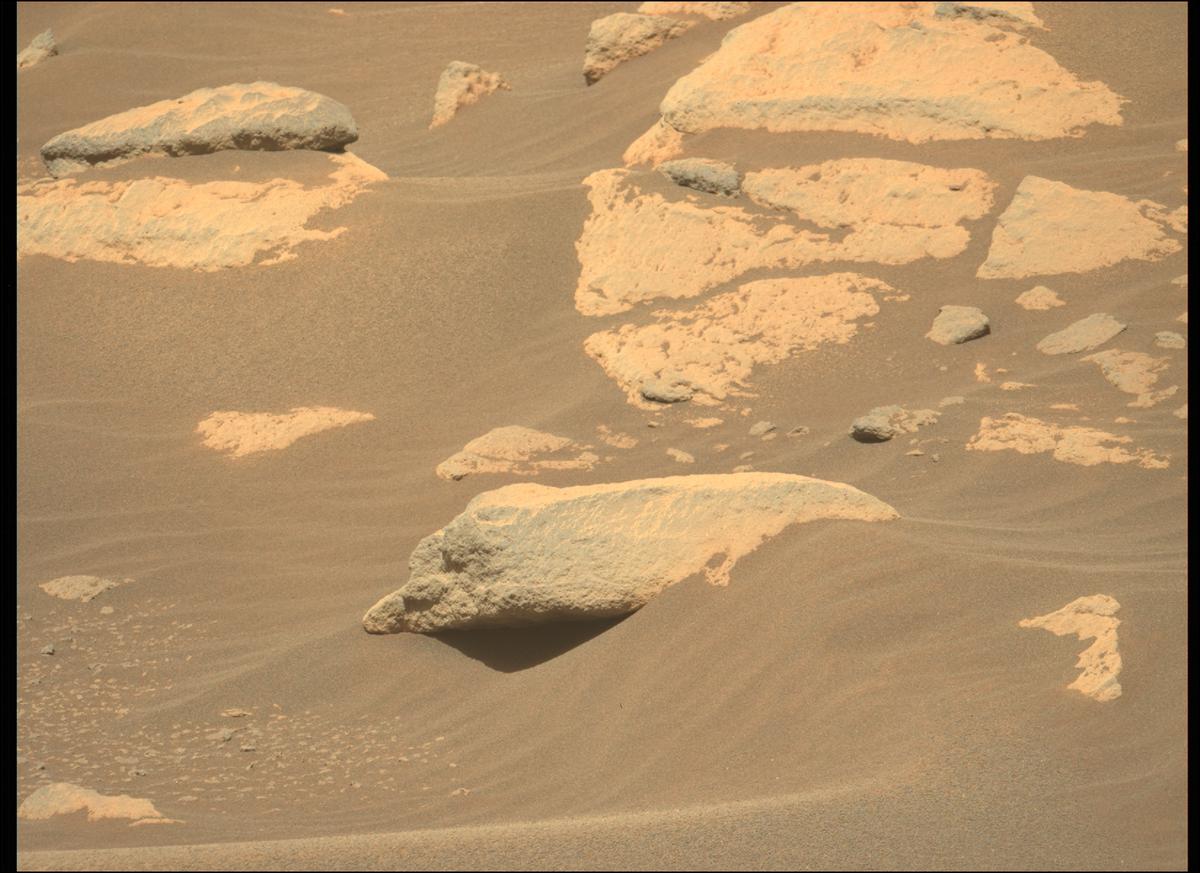 This image was taken by MCZ_LEFT onboard NASA's Mars rover Perseverance on Sol 215