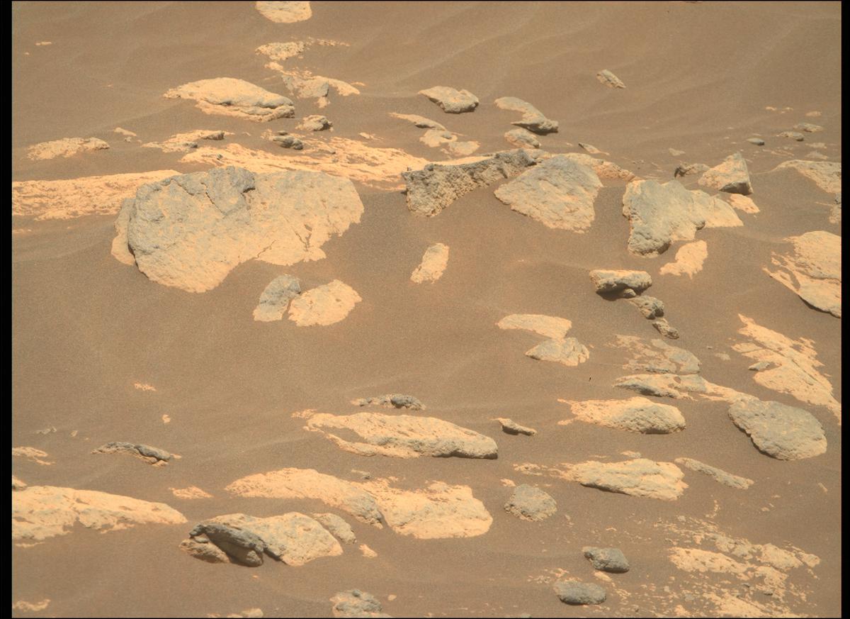 This image was taken by MCZ_RIGHT onboard NASA's Mars rover Perseverance on Sol 215