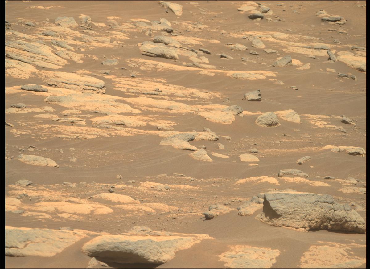 This image was taken by MCZ_RIGHT onboard NASA's Mars rover Perseverance on Sol 215