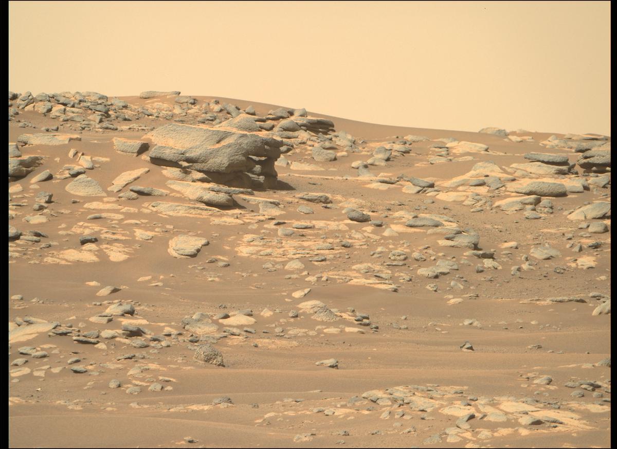 This image was taken by MCZ_RIGHT onboard NASA's Mars rover Perseverance on Sol 215