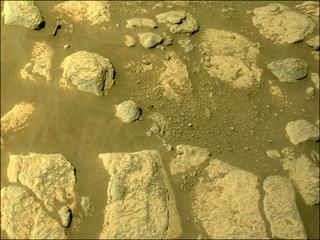 View image taken on Mars, Mars Perseverance Sol 219: Right Navigation Camera (Navcam)