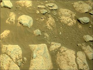 View image taken on Mars, Mars Perseverance Sol 224: Right Navigation Camera (Navcam)