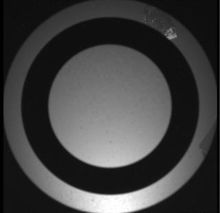 View image taken on Mars, Mars Perseverance Sol 231: SkyCam Camera 