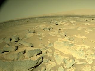 View image taken on Mars, Mars Perseverance Sol 238: Right Navigation Camera (Navcam)