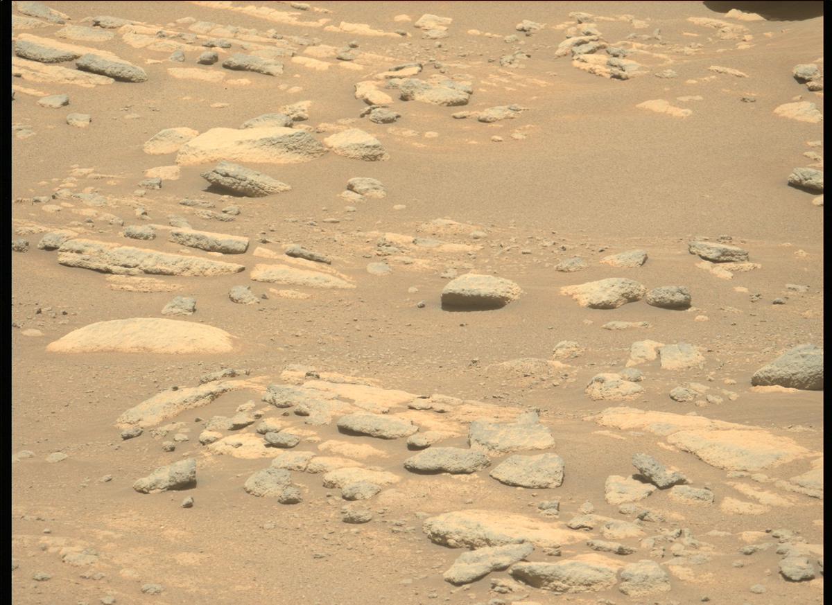 This image was taken by MCZ_LEFT onboard NASA's Mars rover Perseverance on Sol 238