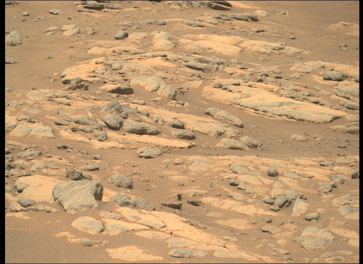 This image was taken by MCZ_RIGHT onboard NASA's Mars rover Perseverance on Sol 238