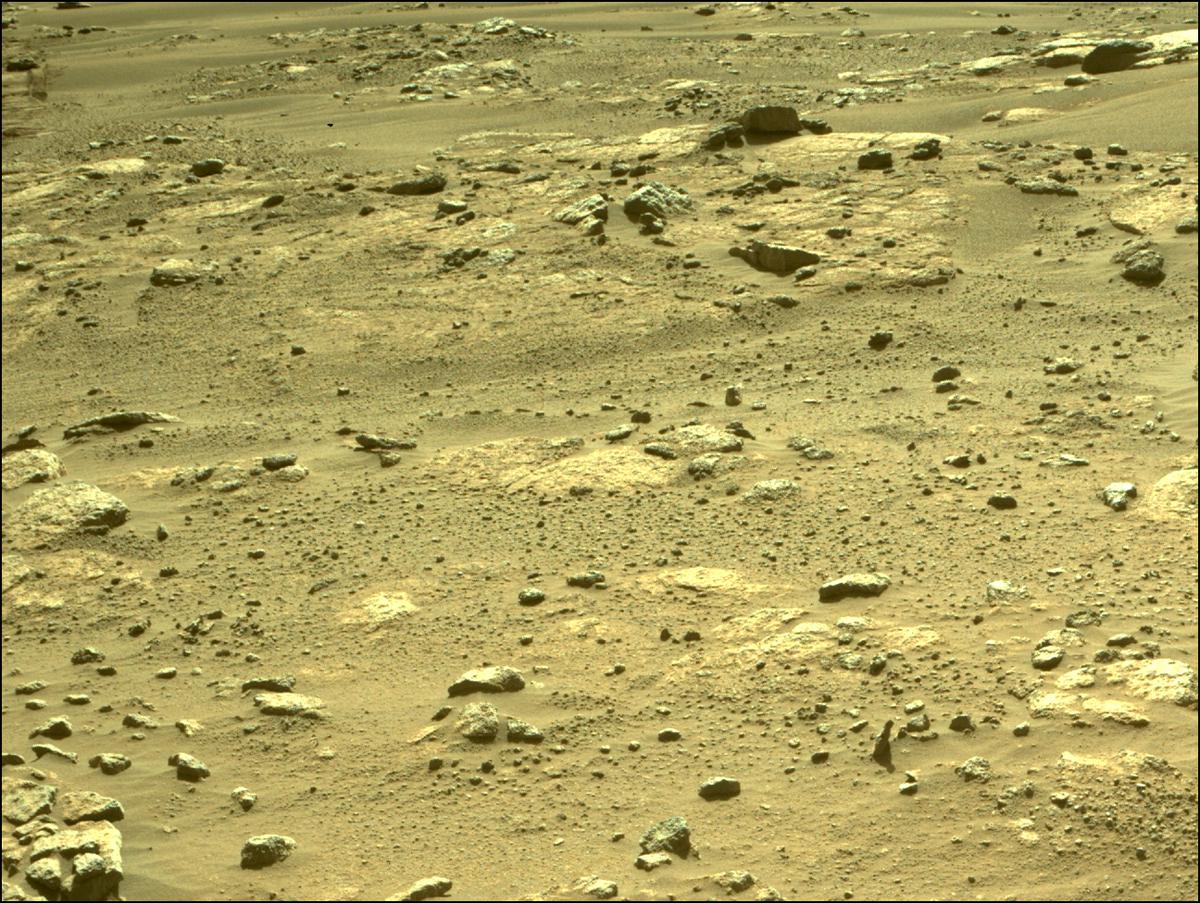 This image was taken by FRONT_HAZCAM_RIGHT_A onboard NASA's Mars rover Perseverance on Sol 239