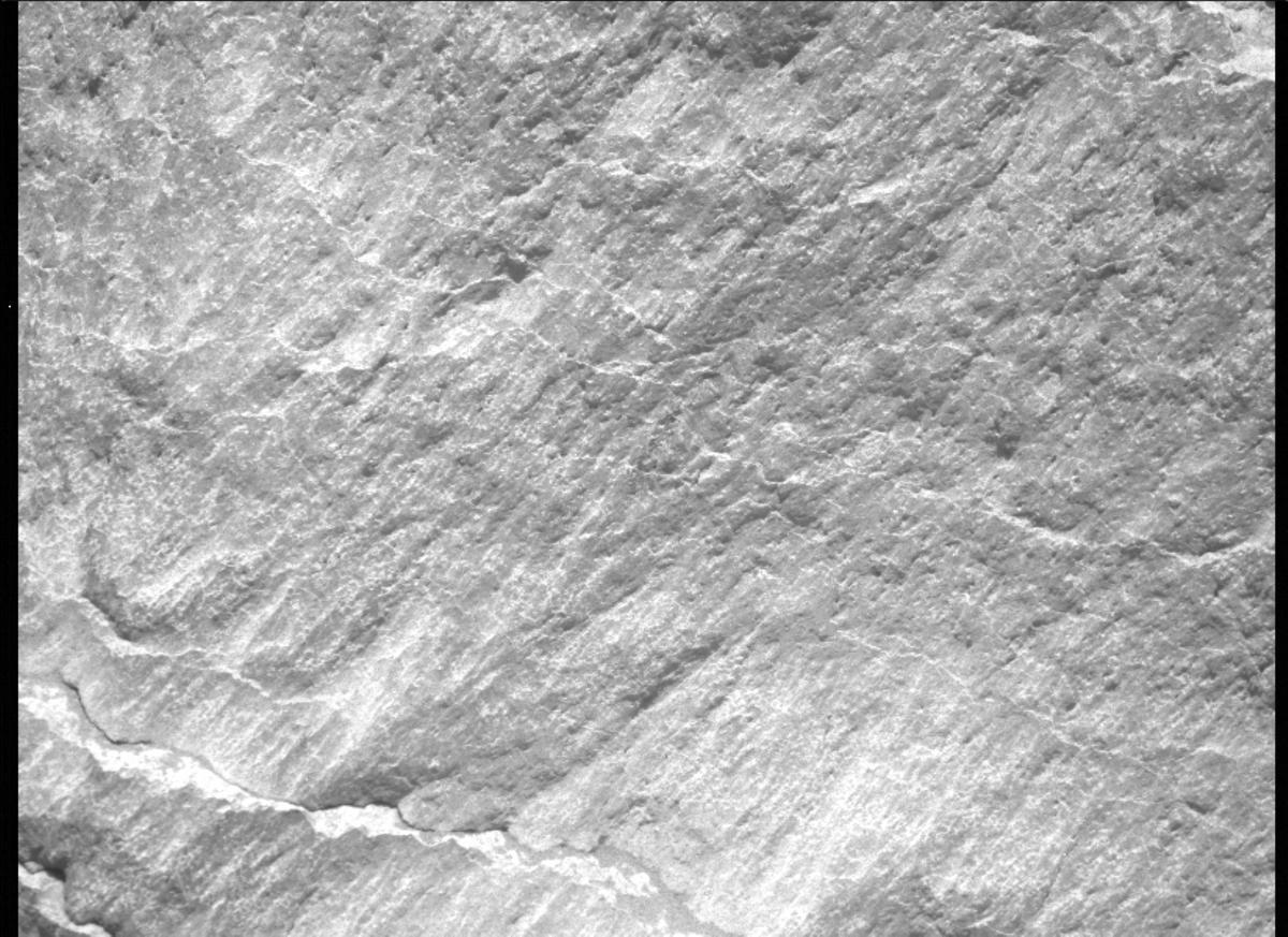 This image was taken by MCZ_LEFT onboard NASA's Mars rover Perseverance on Sol 239