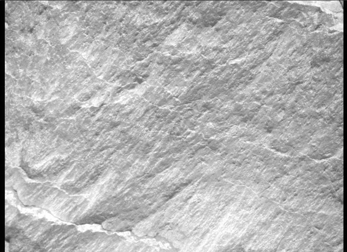 This image was taken by MCZ_RIGHT onboard NASA's Mars rover Perseverance on Sol 239