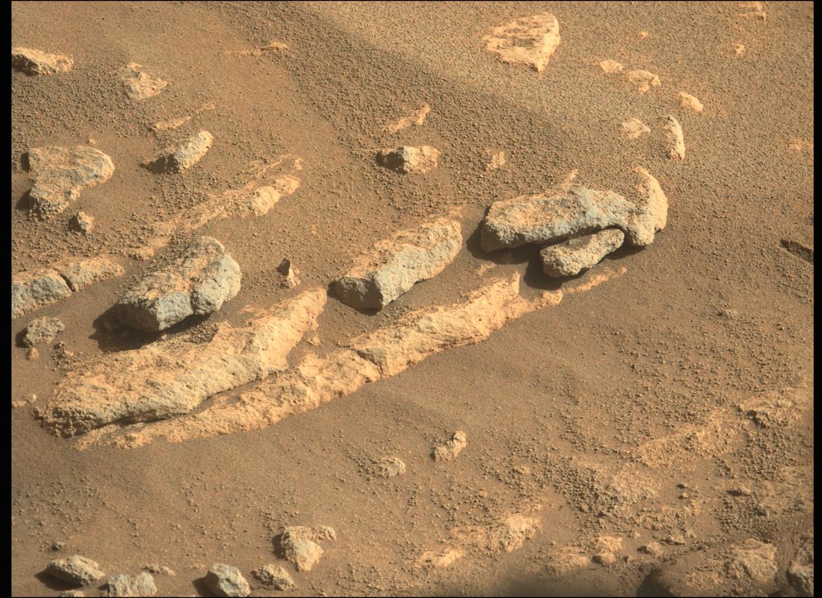 This image was taken by MCZ_LEFT onboard NASA's Mars rover Perseverance on Sol 240