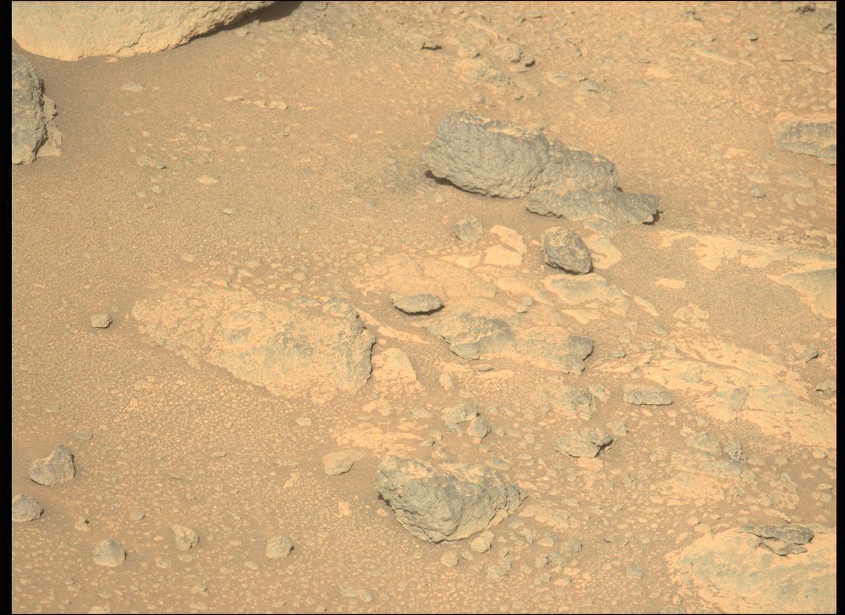 This image was taken by MCZ_LEFT onboard NASA's Mars rover Perseverance on Sol 240