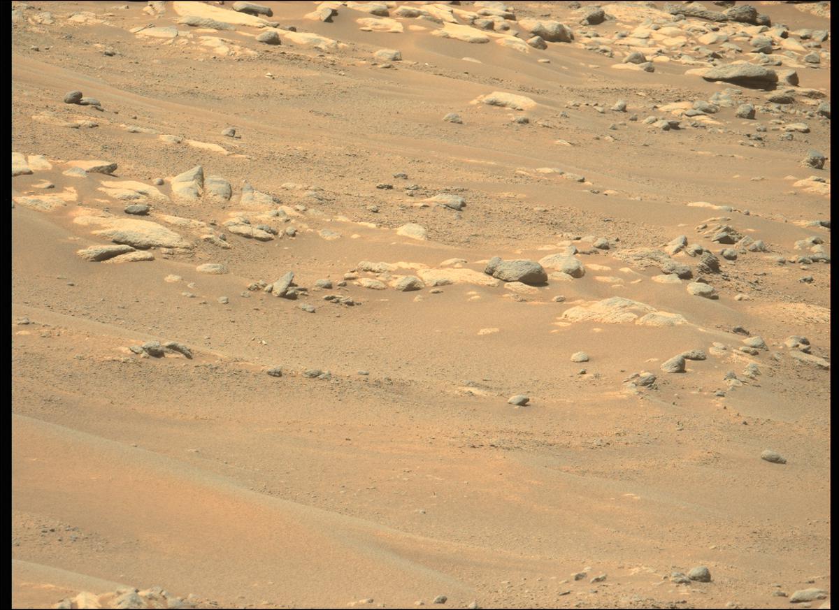 This image was taken by MCZ_LEFT onboard NASA's Mars rover Perseverance on Sol 241