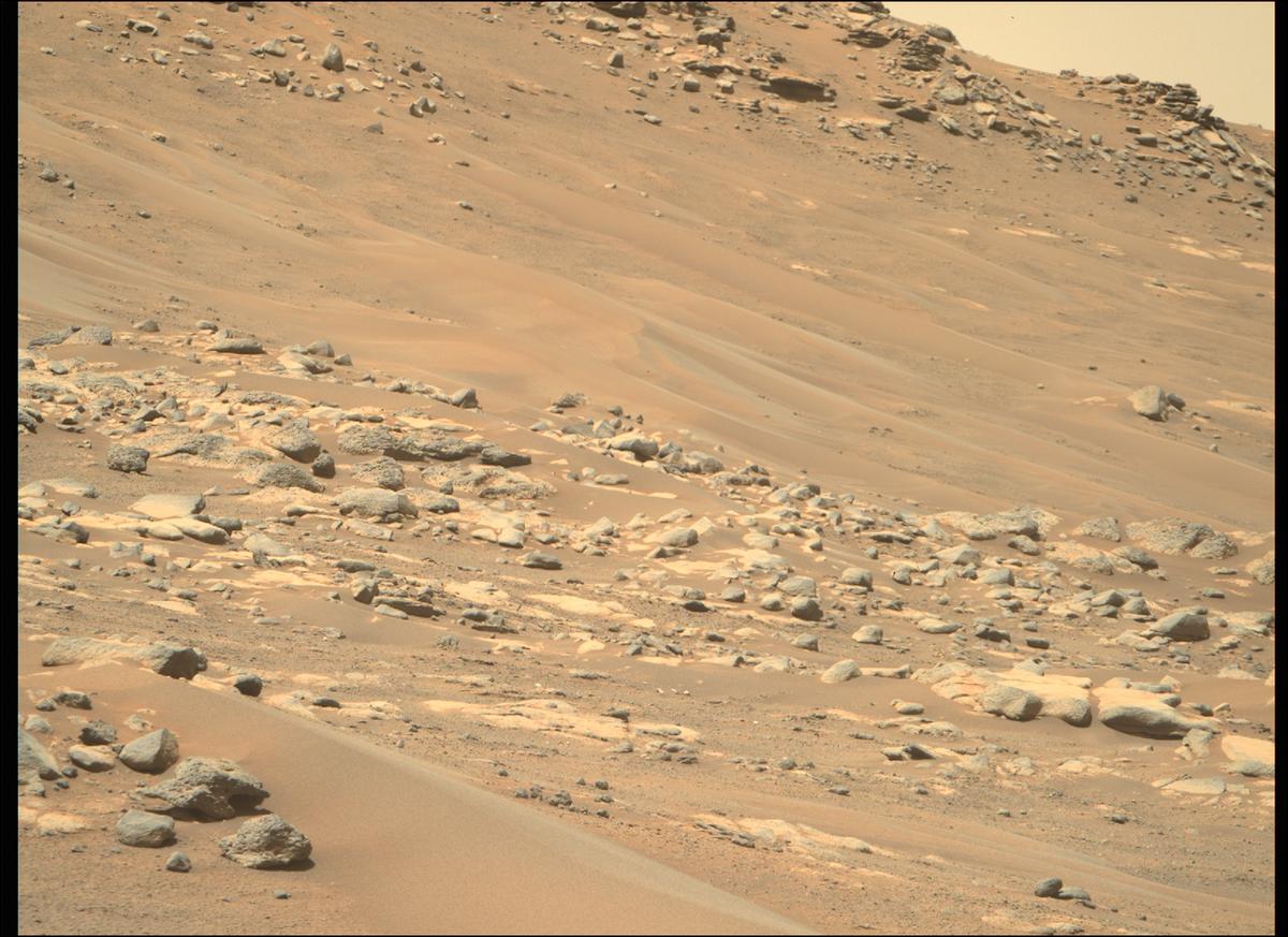 This image was taken by MCZ_RIGHT onboard NASA's Mars rover Perseverance on Sol 241
